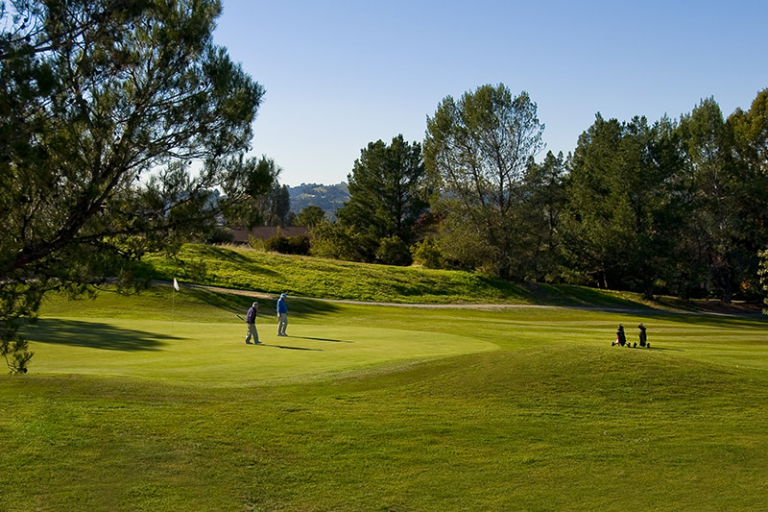 Diablo Hills Golf Course Public Golf Walnut Creek, California